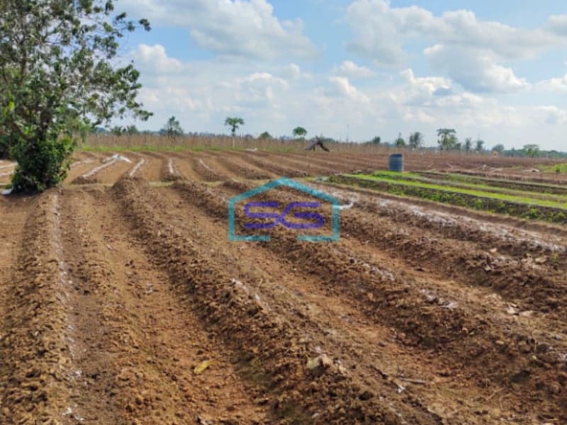 Dijual Tanah Jl. Hm Noerdin Pandji Kec Sako Kota Palembang Luas 21270m2