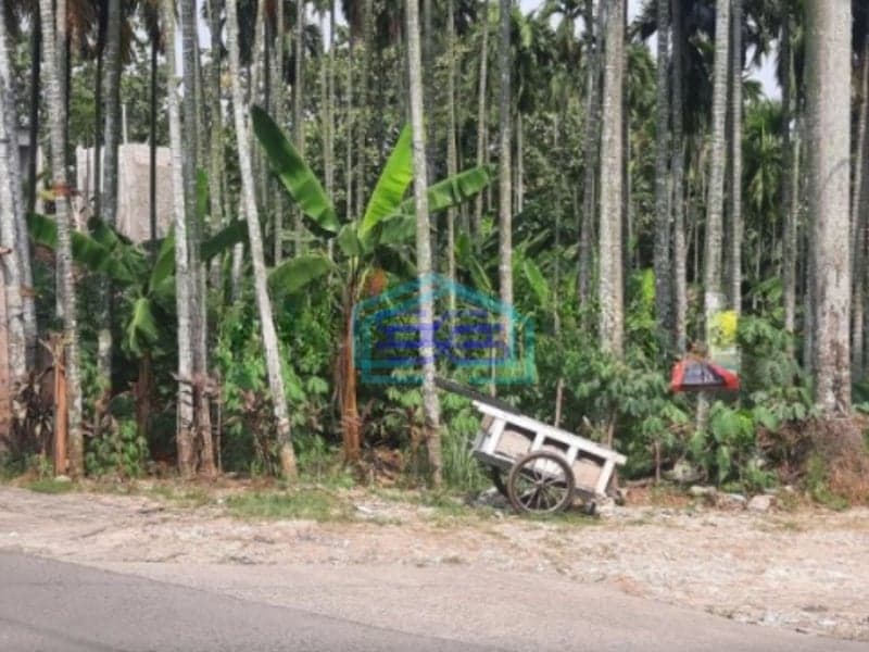 Dijual Cepat Tanah Harga Mepet NJOP 500m Dari Pintu Tol Sawangan Depok Luas Tanah  2350 m²