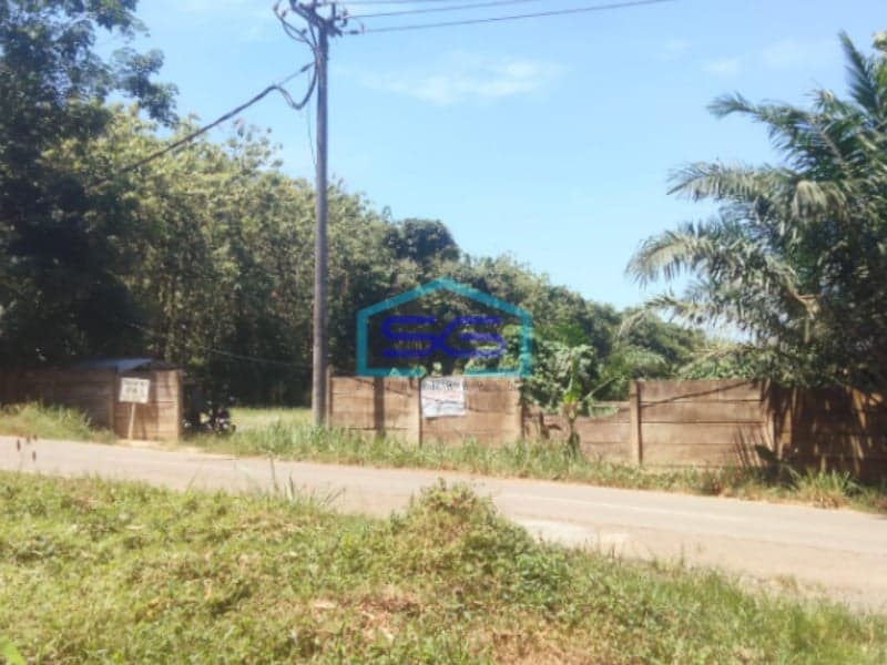 Dijual Tanah Luas di Talang Buluh Banyuasin Palembang Luas Tanah 22000m2