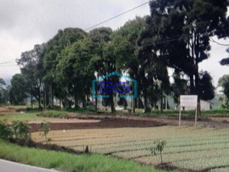 Dijual Tanah di Pinggir Jalan Raya Batur Banjarnegara LT 461015m2