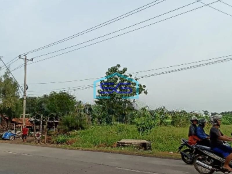 Dijual Tanah Di Weleri Kendal Luas Tanah 2930 m²