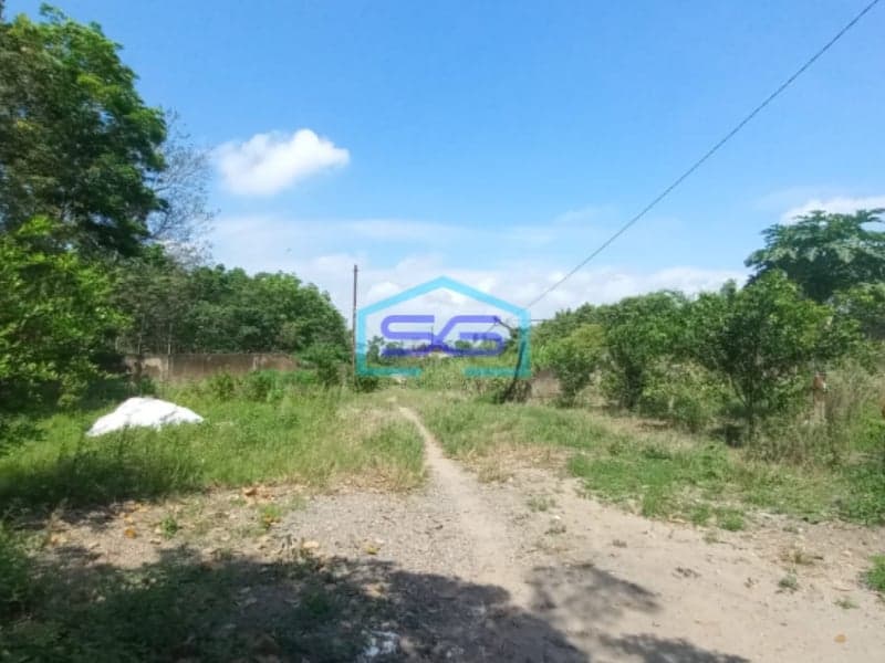 Dijual Tanah Jalan Lintas Palembang Indralaya Strategis Luas 4680m2 Sumatera Selatan