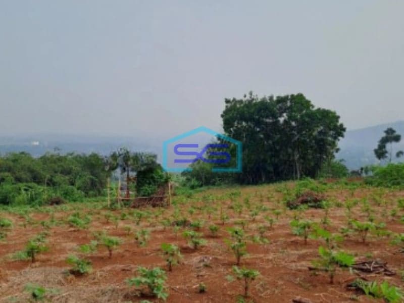 Dijual Tanah Murah Desa Cidokom Mekar jaya Rumpin Bogor Luas Tanah 10159m2