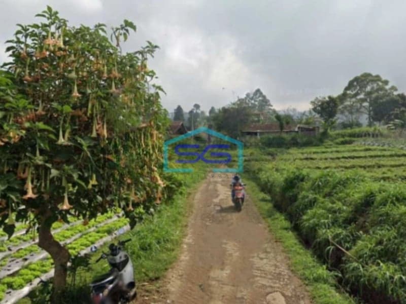 Dijual Tanah Di Desa Sukajaya, Lembang, Bandung Barat, Jawa Barat Luas Tanah 4886 m²