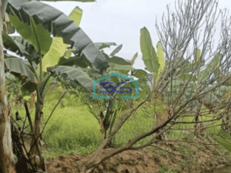 Dijual Kavling siap Bangun dan dekat lokasi gudang dan pabrik di Narogong Luas Tanah 9335 m²