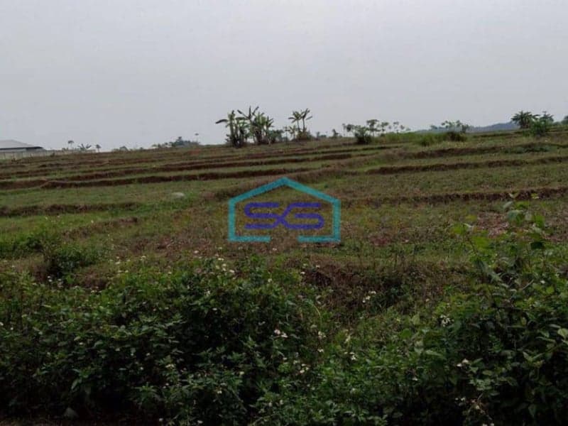 Dijual Tanah di Desa Cileles kecamatan Tigaraksa Tangerang Luas 70 Hektar