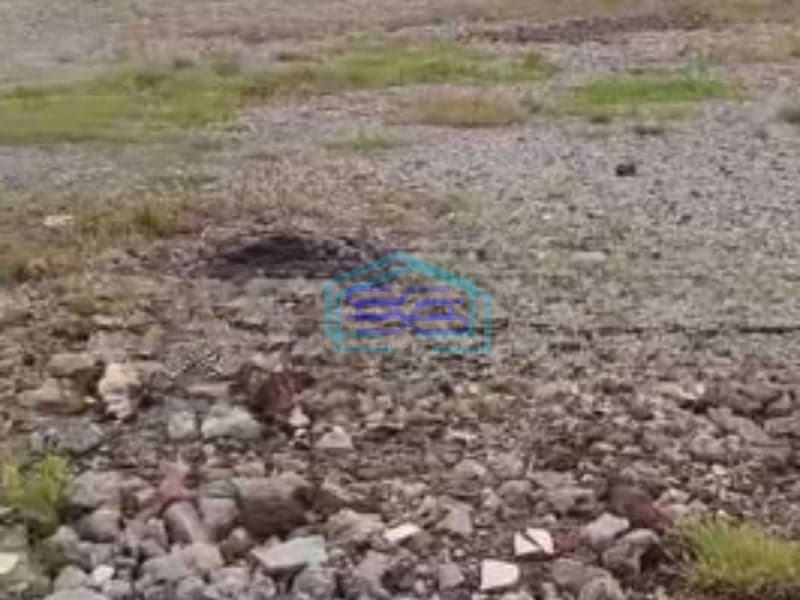 Disewakan Tanah Luas 5000 m² Lokasi Bebas Banjir di Bekasi