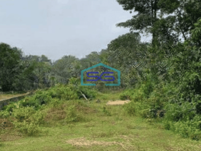 Dijual Tanah Lokasi Strategis di Cikeusal Serang Luas Tanah  9013 m²