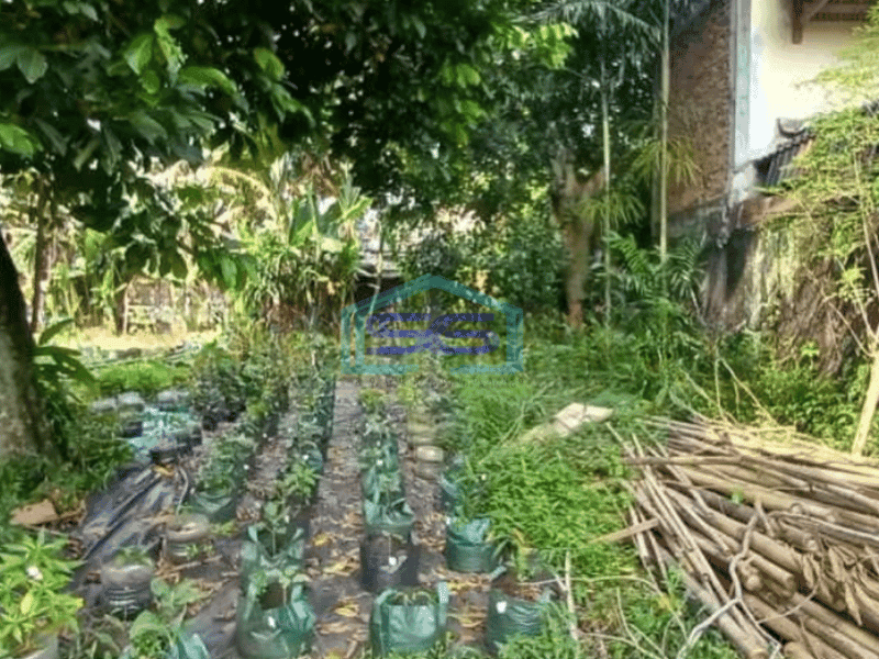 Dijual Tanah Di Jakarta Selatan Luas Tanah 2025 m²