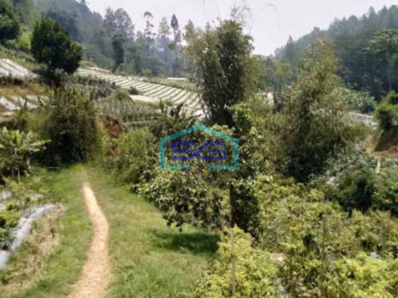 Dijual Tanah Strategis di Maribaya Lembang Luas Tanah  100000 m²