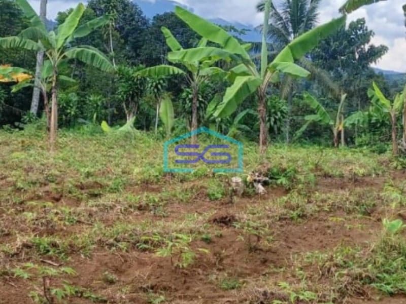 Dijual Tanah Parakan Salak Sukabumi Luas Tanah 4750m2