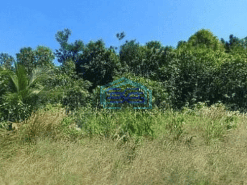 Dijual Tanah di Maratua Kalimantan Timur Luas 18409m²