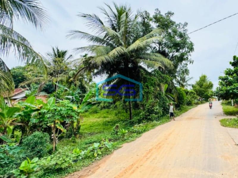 Dijual Cepat Tanah Murah Jalan Lebong Permai Alang Alang Lebar Palembang LT 1173m2