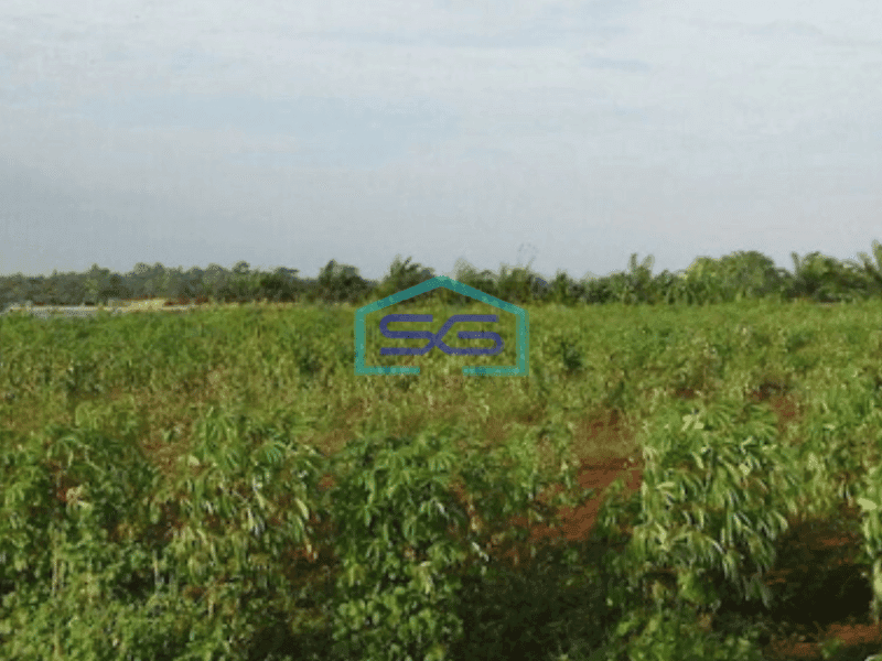 Dijual Tanah Industri di Kalijati Subang Dekat Industri Smartpolitan LT 20000m2