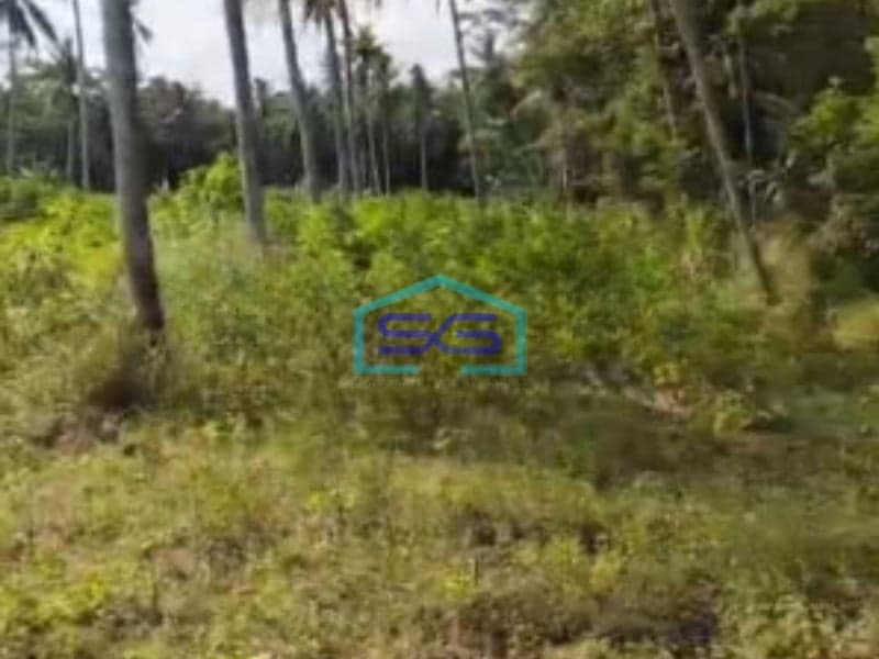 Dijual Tanah Pekarangan Lokasi Pengasih Yogyakarta Luas 10320m2