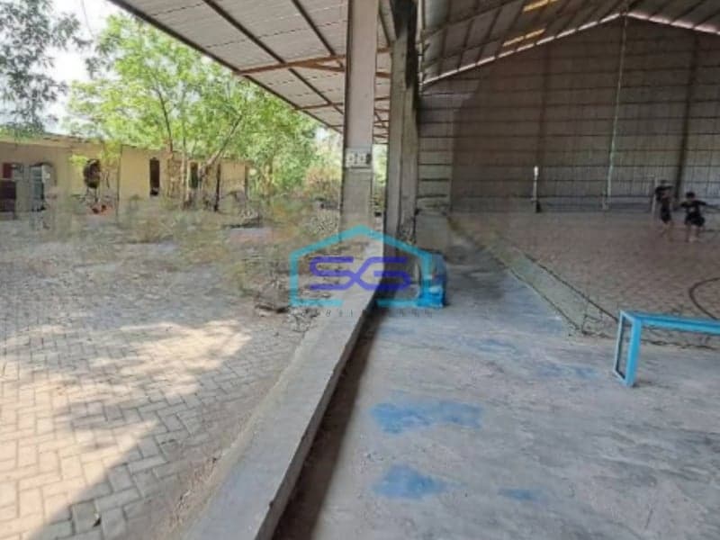 Dijual Tanah Luas  4991 m² Lokasi Bebas Banjir di Kapas Bojonegoro