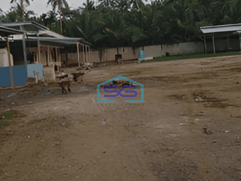 Dijual Tanah di Panimbang Jl Raya Labuan Deket Tanjung Lesung Banten