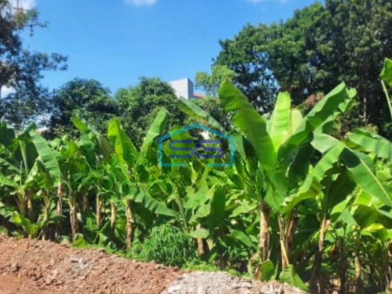 Dijual Tanah Luas 2000 m² Lokasi Gunung Pati Semarang