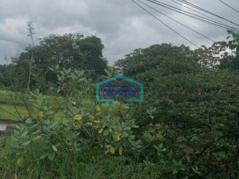 Dijual Cepat Tanah Zona Industri Lokasi Ceper Klaten Luas 10 Ha