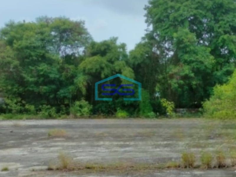 Disewakan Tanah Harga Murah Lokasi Bebas Banjir di Marunda Jakarta Utara