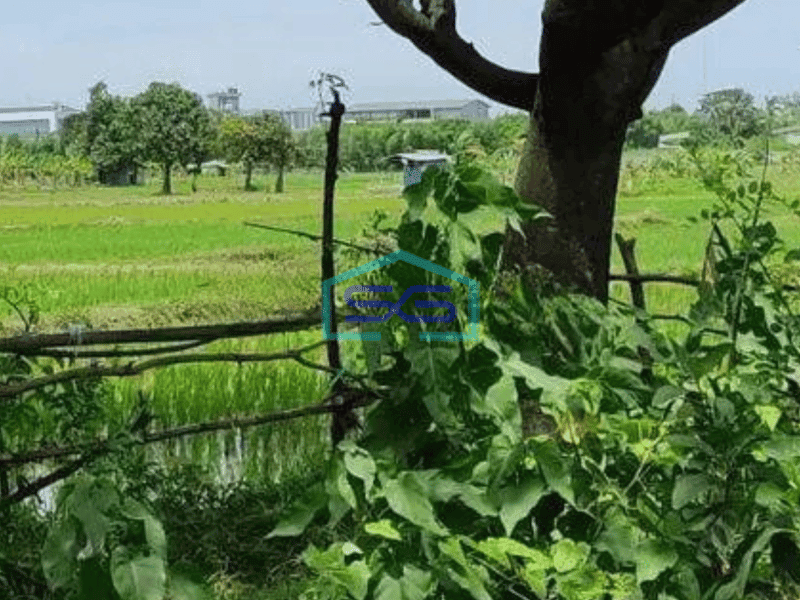 Dijual Tanah Kosong di Cikande Serang, Kawasan Industri Luas 30 Ha