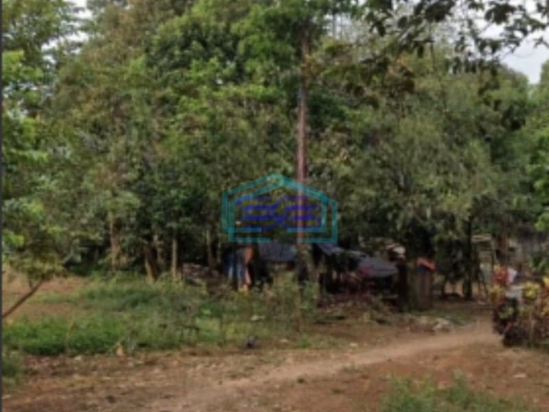 Dijual Tanah Murah Dan Rata di Ciseeng Parung Bogor Luas Tanah  2600 m²