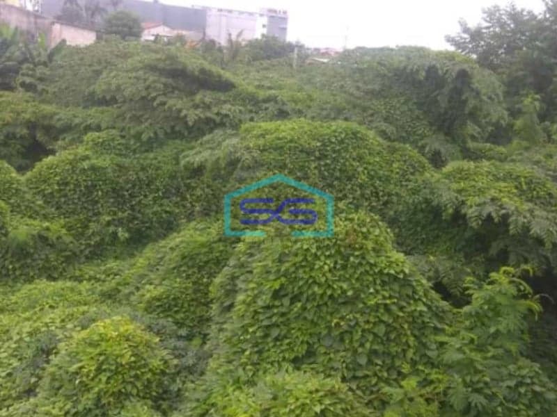 Dijual Tanah Luas  62250 m² Lokasi Strategis di Kalideres Jakarta Barat