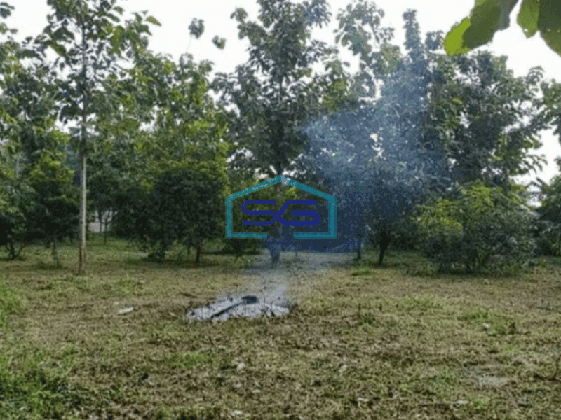 Dijual Tanah Strategis di Suradita, Cisauk, Tangerang