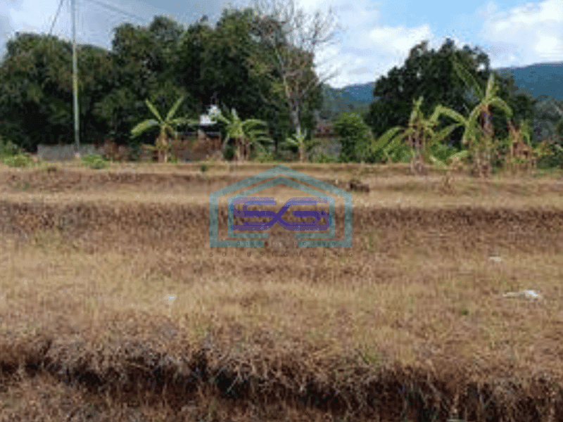 Dijual Tanah lokasi bagus area Pantai Lovina, Bali