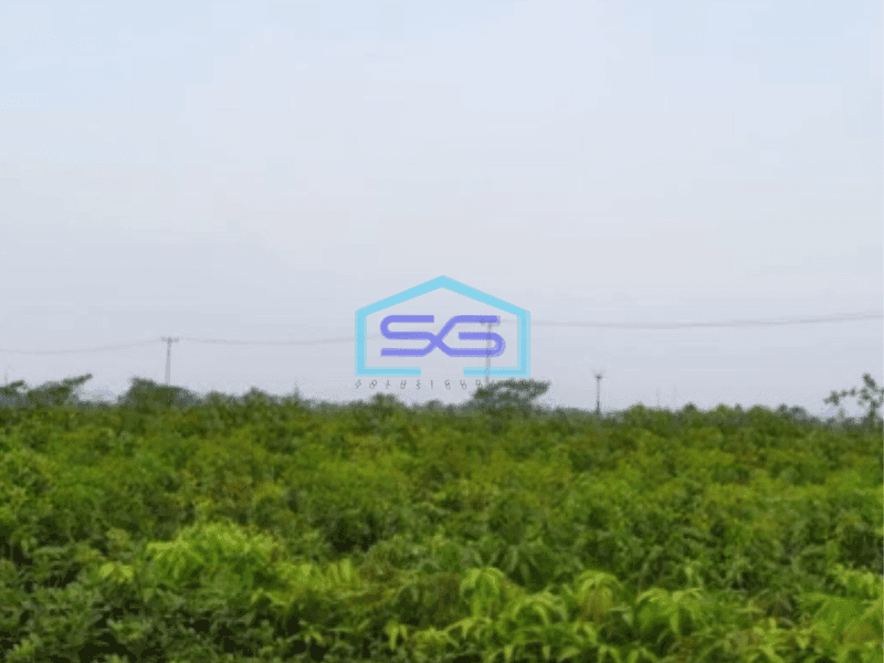 Dijual Tanah di Karawang Timur Luas Tanah 6000 m²