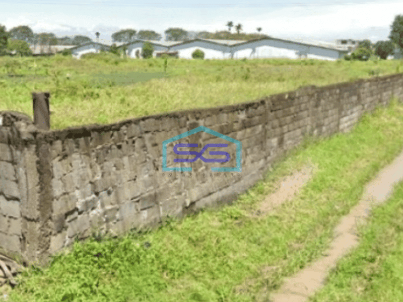 Disewakan Tanah Di Rancaekek Dekat Kahatex Luas Tanah 10000 m²