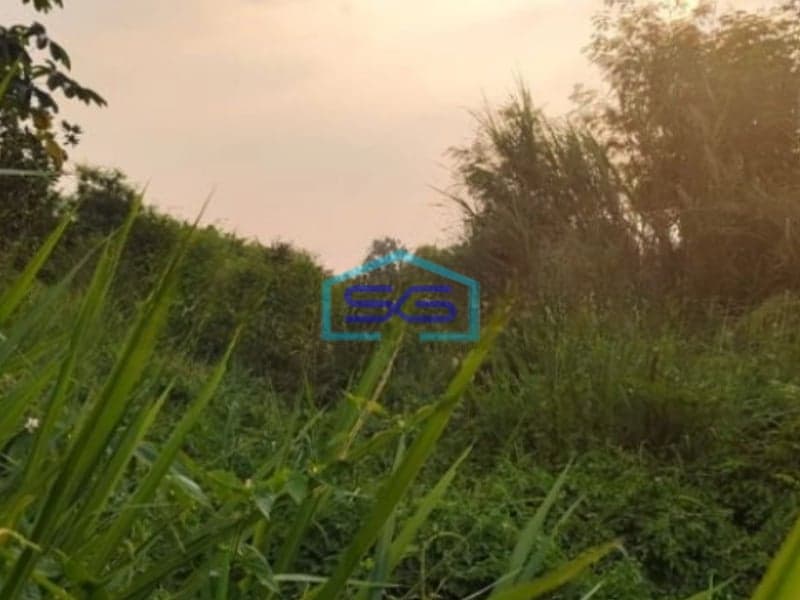 Dijual Lahan Tanah di Lokasi Dekat Jalan Utama di Gunung Sindur Bogor LT 10000m2