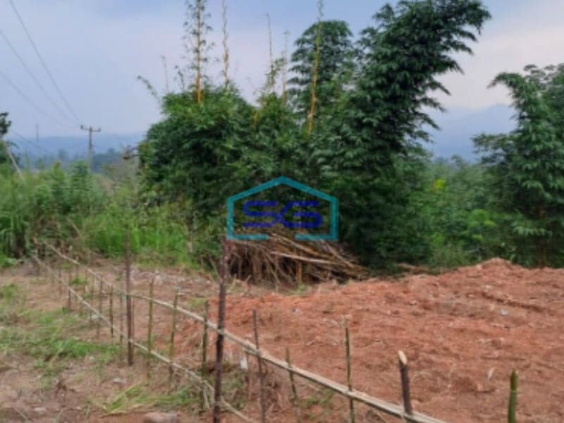 Dijual Tanah Desa Sadeng Lewisadeng Bogor Luas Tanah 20000m2