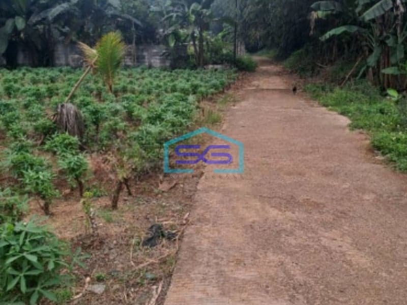 Dijual Tanah Di Daerah Ciseeng Bogor Bebas Banjir LT 1009m2