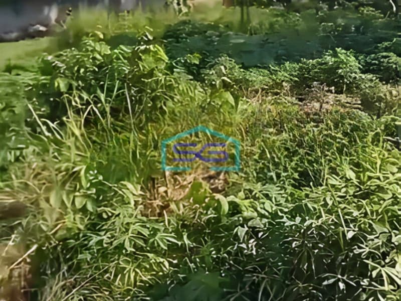 Dijual Tanah Bebas Banjir di Pinggir Jalan Raya Gunung Sindur Bogor LT 5000m2