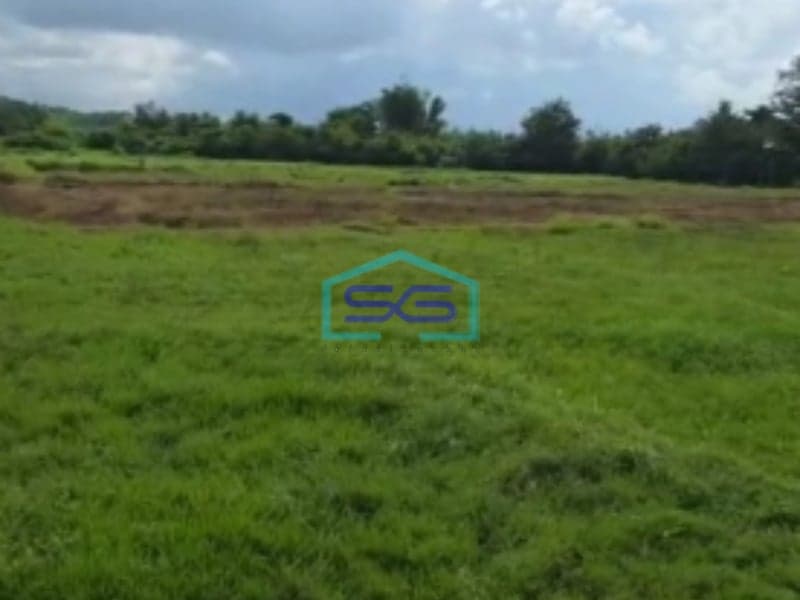 Dijual Tanah Bebas Banjir Luas Tanah 1570m2 di Daerah Gianyar Bali