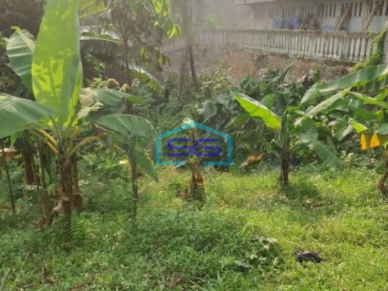 Dijual Tanah Desa Pabuaran Perbatasan Citereup Sukamakmur Bogor LT 10000m2