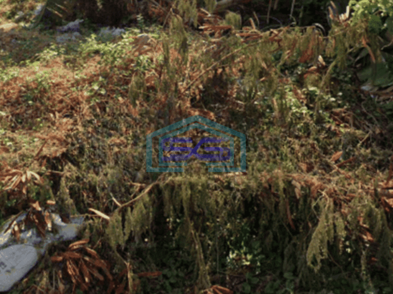 Disewakan Tanah di Sukolilo Surabaya