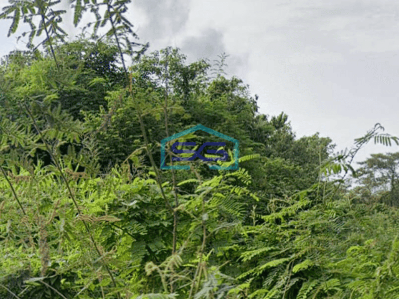 Dijual Tanah Strategis Siap Bangun di Pinggir Jalan Raya Lingkis Rambutan, Jejawi Sumatera Selatan Luas 20000m2