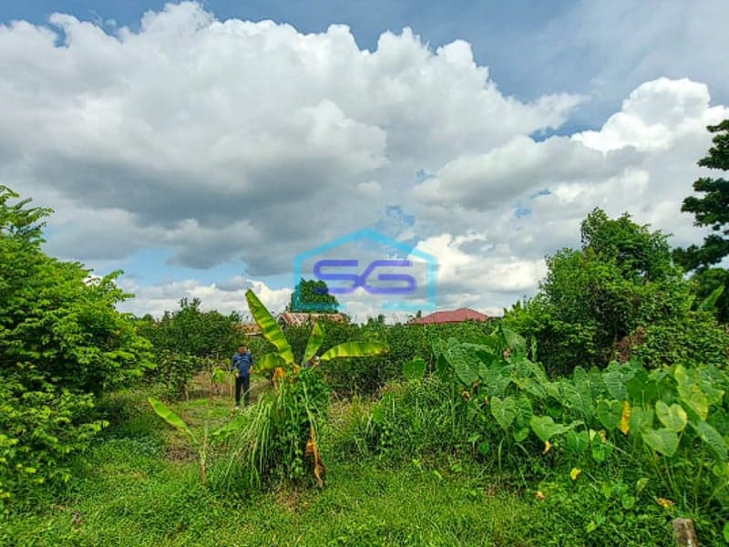 Dijual Tanah Murah Strategis Siap Bangun di Talang Jambe, Palembang