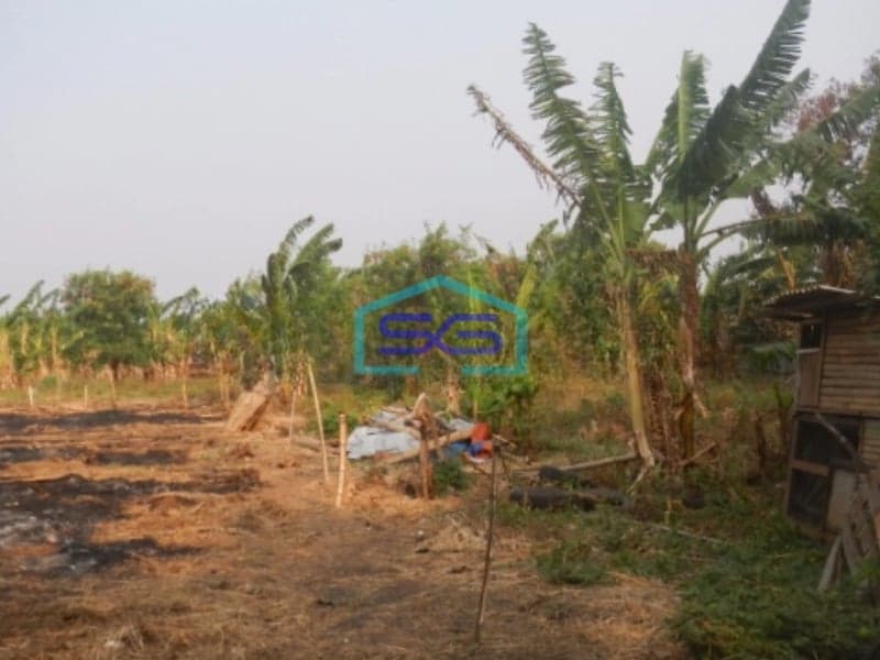 Dijual Tanah Lokasi Strategis di Cengkareng Timur Jakarta Barat Luas Tanah (PxL)  16600 m²