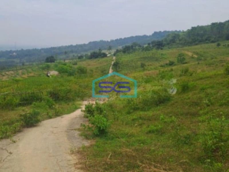 Dijual Tanah Sukaresmi Sukamakmur Bogor Luas Tanah 540000m2