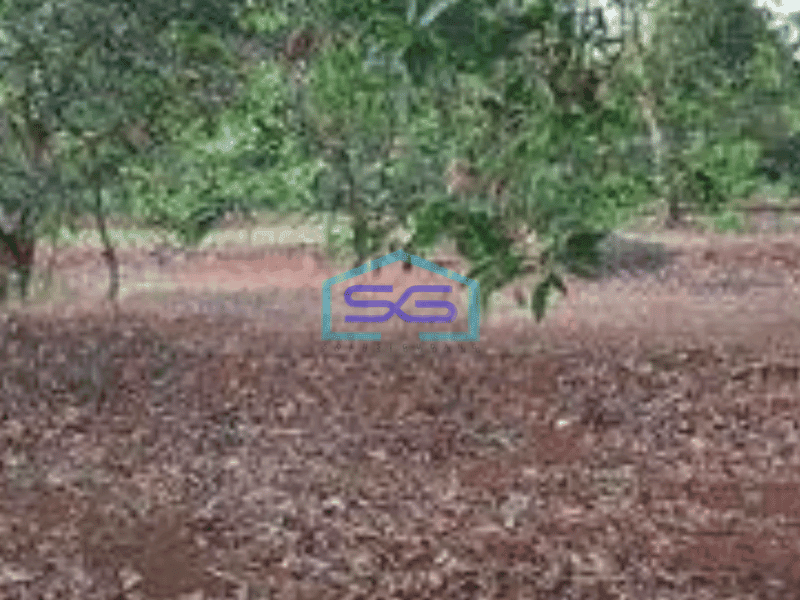 Dijual Tanah Lokasi Strategis Zona Industri Subang Jawa Barat Luas Tanah  500000 m²