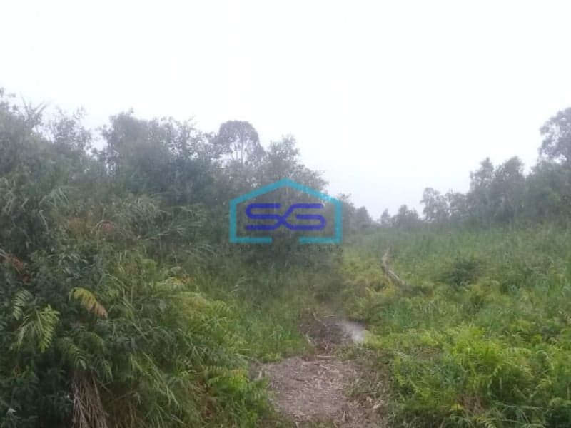 Dijual Tanah Jalan Tanjung Api Api dekat Komplek Pergudangan Prima Star Palembang LT 4000m2