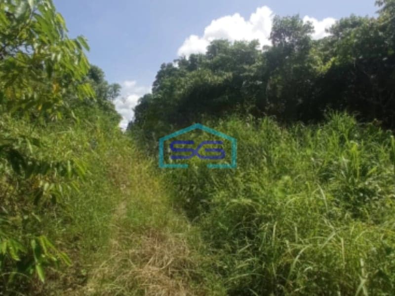 Dijual Tanah di Desa Asyaman Keerom Papua Luas Tanah 10.000m²