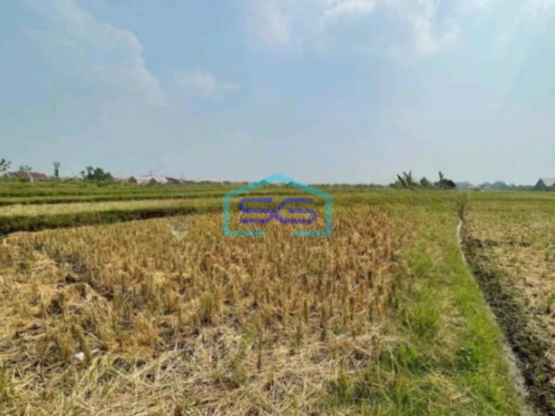 Dijual Tanah Lokasi Mojosari Mojokerto Jawa Timur Harga Nego Luas 20000m2