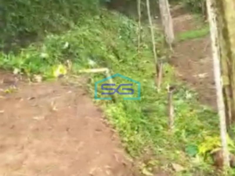 Dijual Tanah Di Caringin Bogor Dekat Exit Tol Caringin Luas Tanah 14500m2