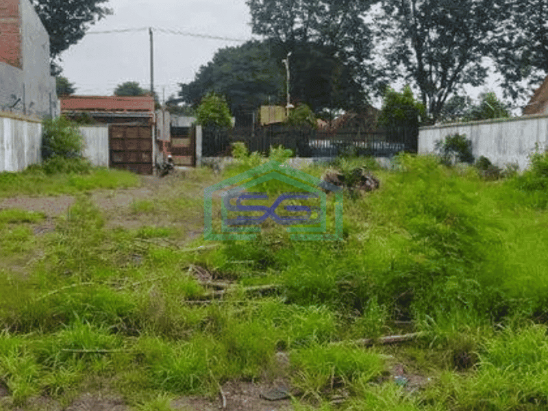 Disewakan Tanah murah di mojokerto